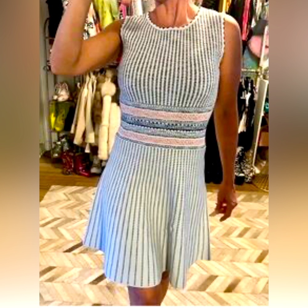 BCBG MAXAZRIA Wilma Knit Fit & Flare Dress Size S Haze Combo Striped Sleeveless